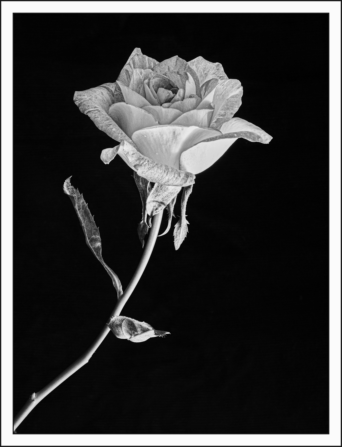 P9110054